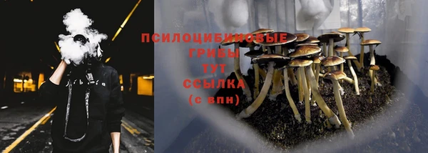 mdpv Михайлов